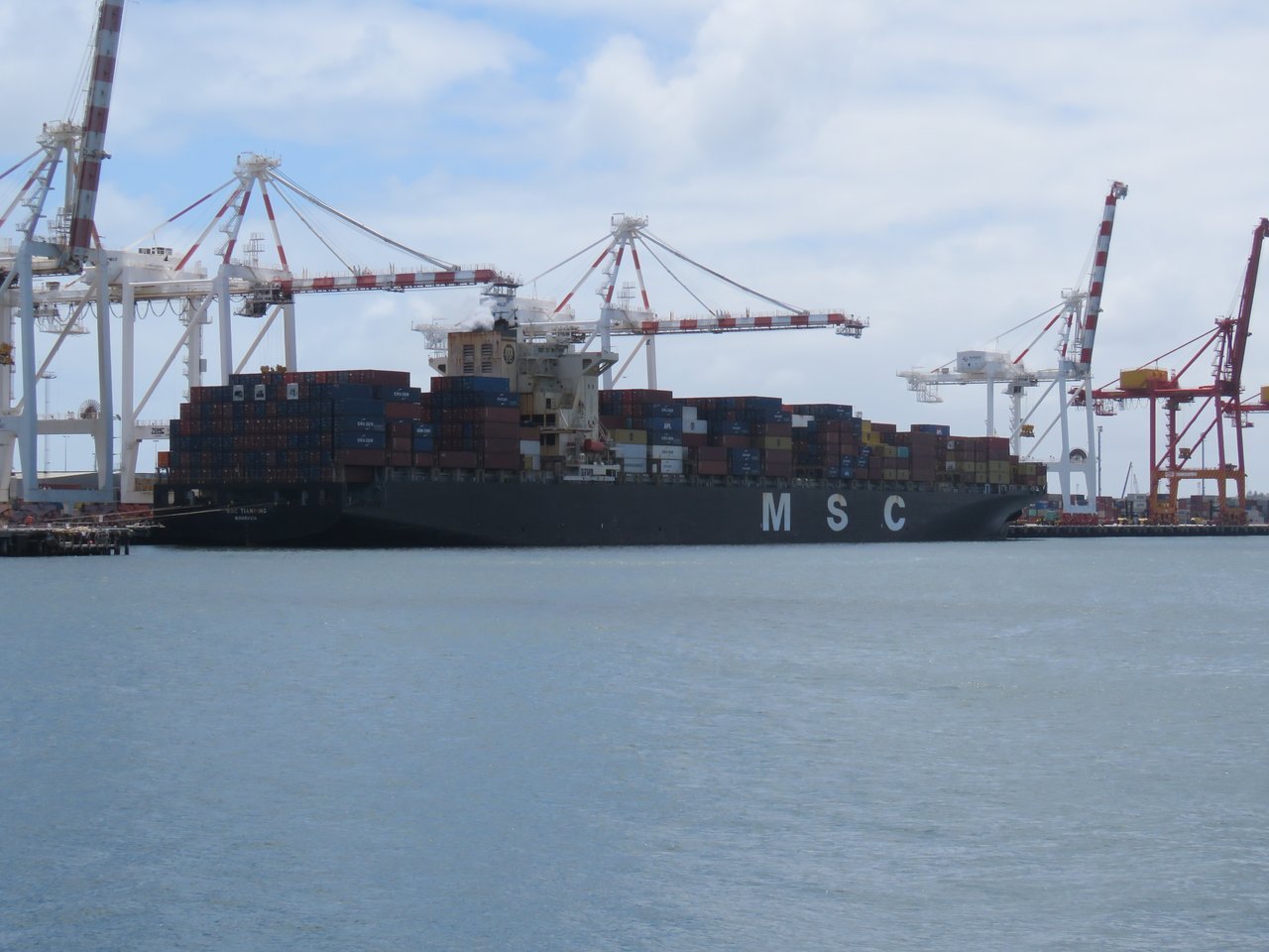 Tàu container MSC - đối tác đầu tư Cảng trung chuyển quốc tế Cần Giờ