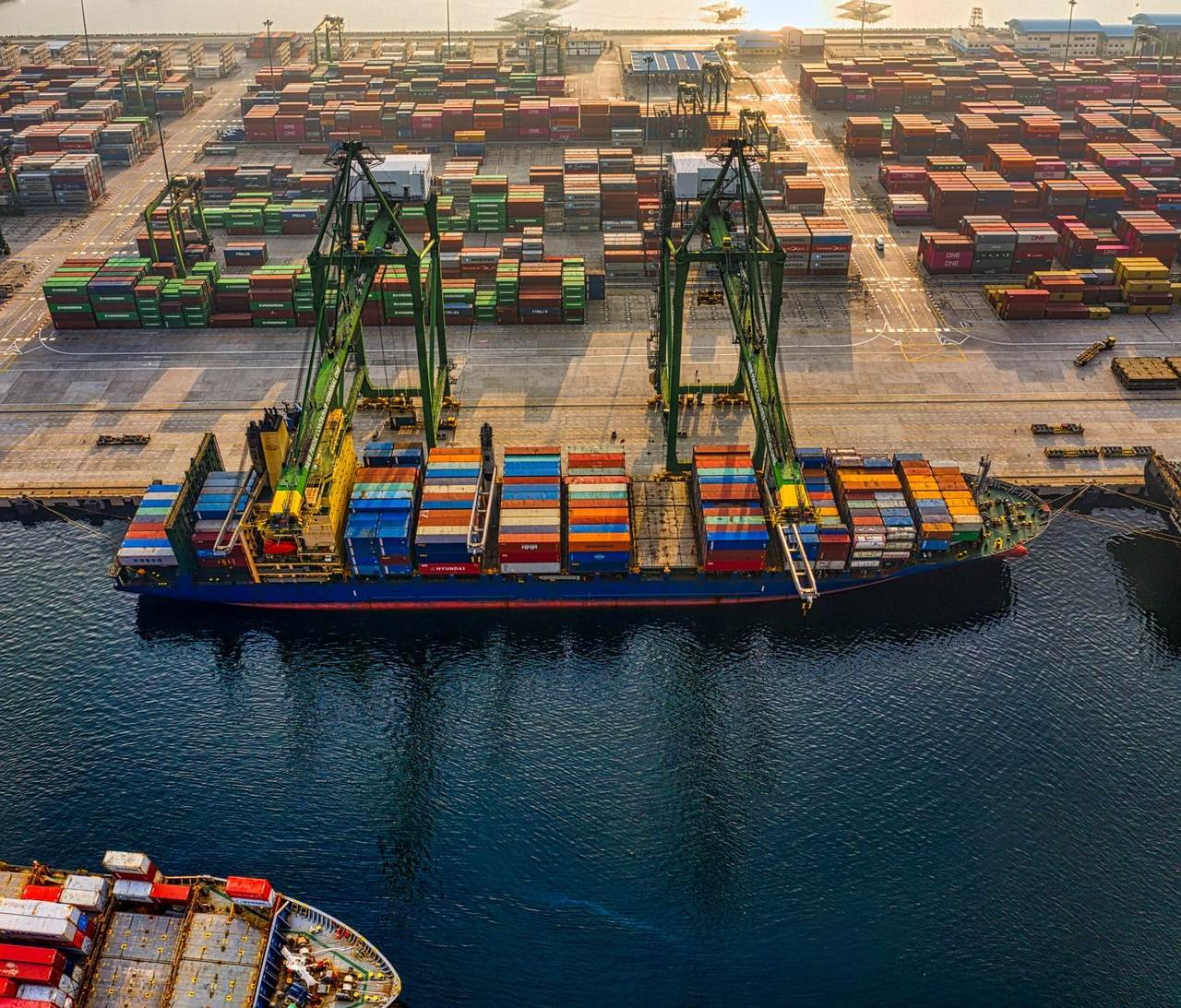 Siêu Cảng Cần Giờ: MSC Làm Việc Với TP.HCM Và Chính Phủ — Imperia Green Paradise Hưởng Lợi Gì?